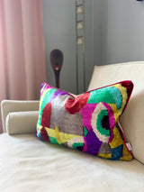 Modern Muse Velvet Ikat Pillow Cover