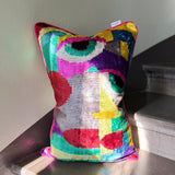 Modern Muse Velvet Ikat Pillow Cover