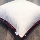 Silk Ikat Cushion with Concealed Zipper