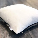 Hidden Zipper Silk Ikat Cushion Birds Eye