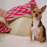 Velvet Ikat Pillow Zigzag Pink with dog