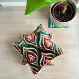 Velvet Ikat Cushion Genie near plant
