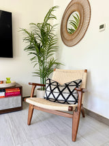 XXX Velvet Ikat Pillow Cover